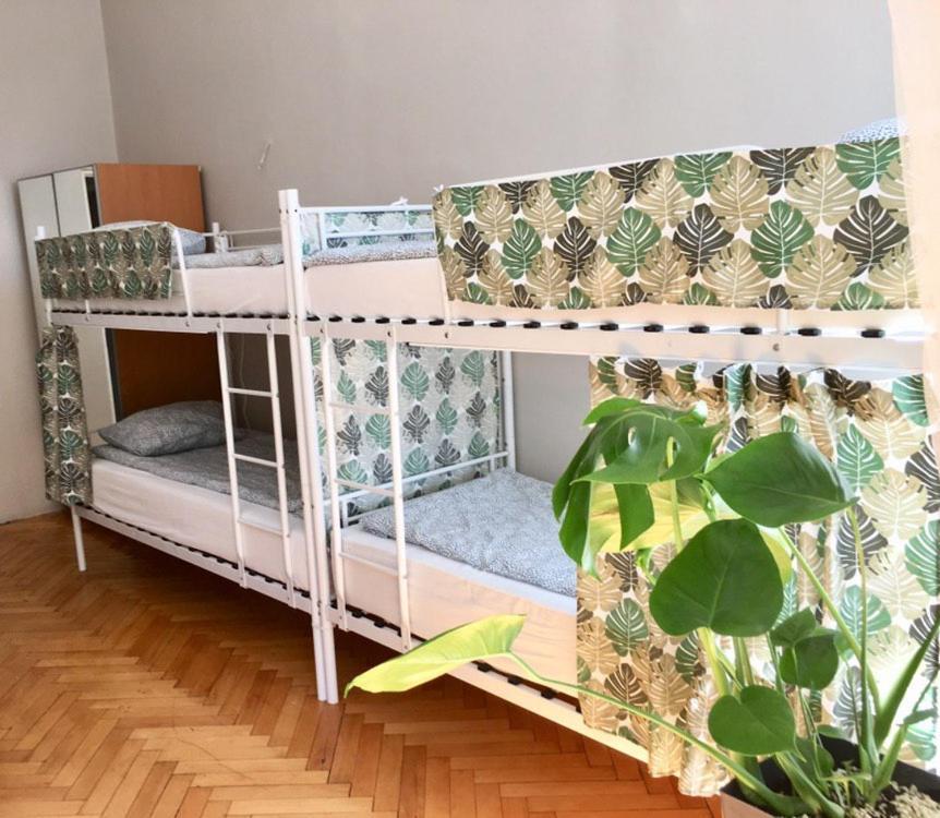 קרקוב Green House מראה חיצוני תמונה
